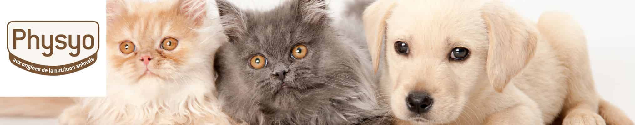 Nourriture physio chien et chat