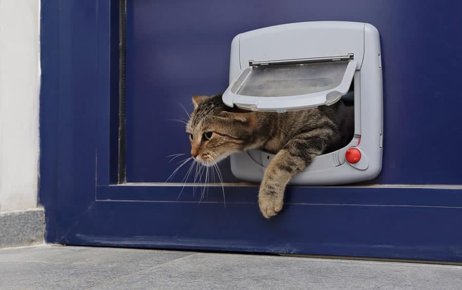 Qui a inventé la chatière ?