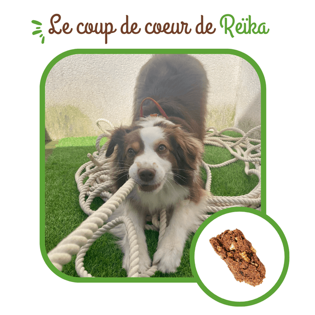 Croc' aux insectes pour chiens