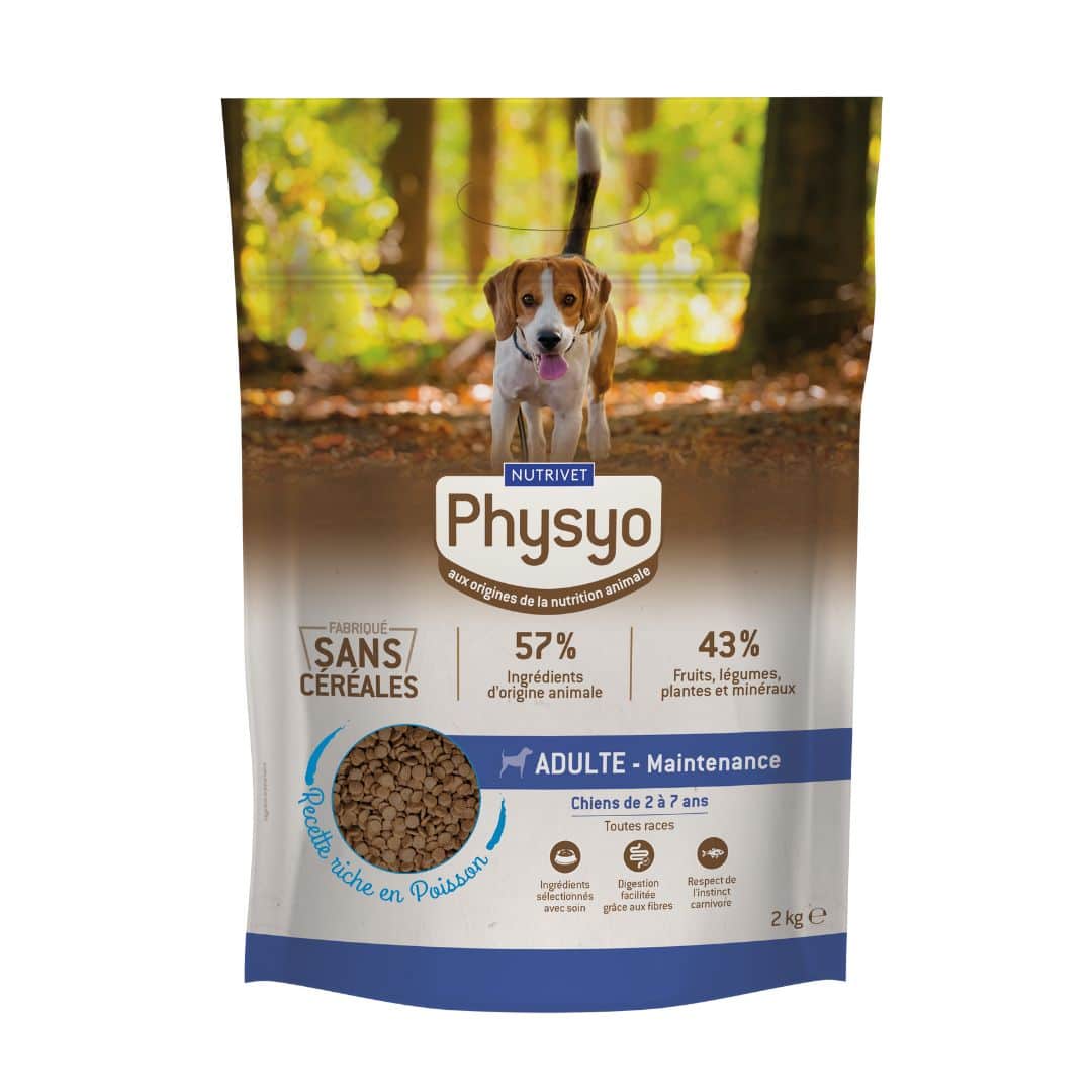 Croquettes chien maintenance poisson 2 kg