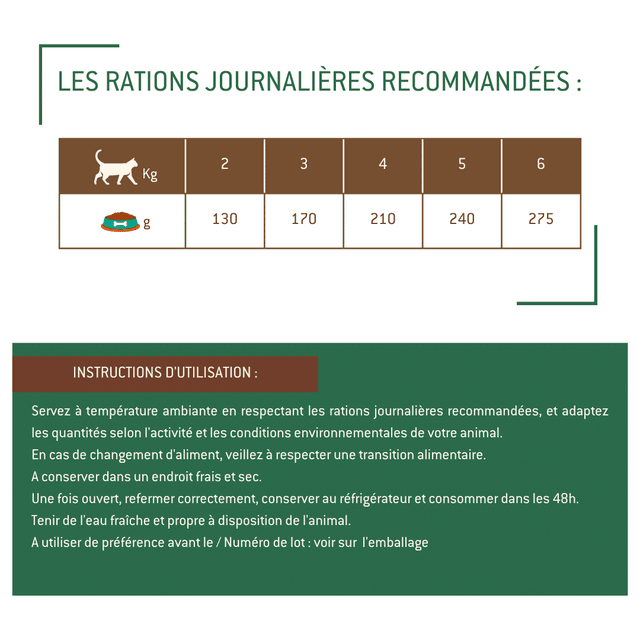Terrine chat sénior au saumon
