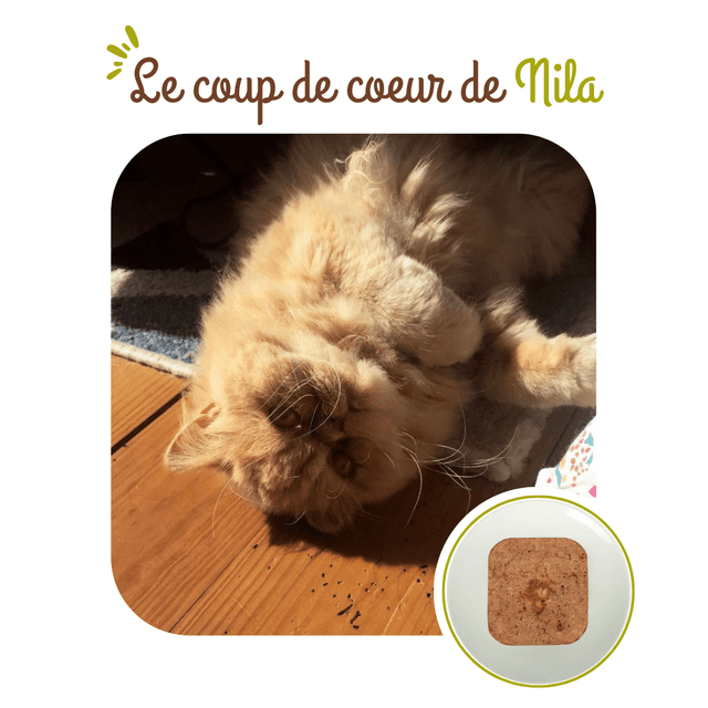 Terrine chat stérilisé au poulet