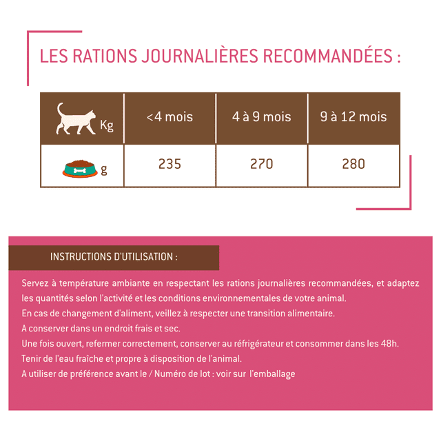 Terrine chaton au poulet