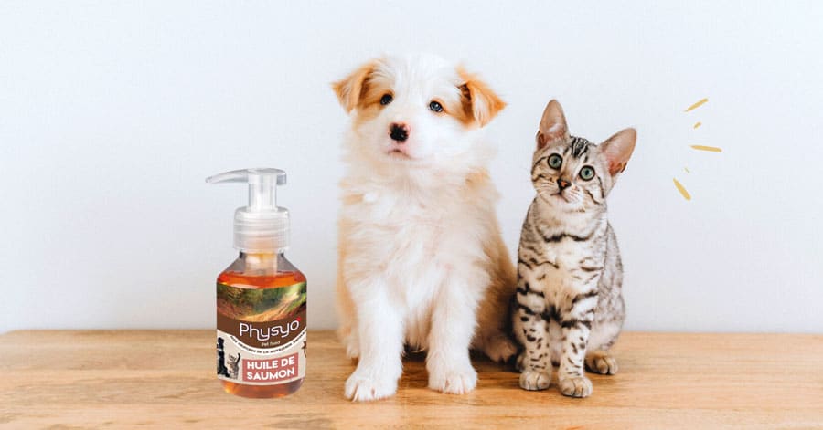 Huile de Saumon pour Chien & Chat : Beauté et Santé Naturelle.