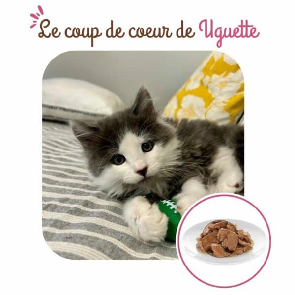 Sachets fraîcheur chaton à la volaille – Image 4