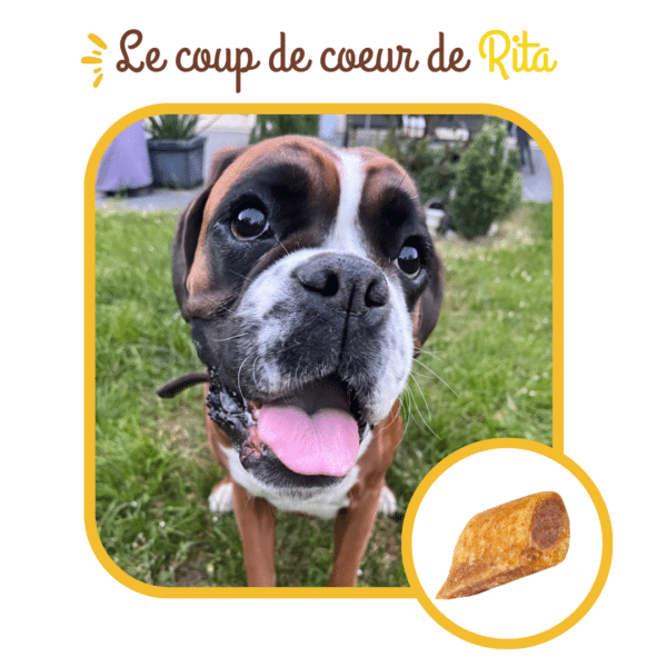Croc' au fromage pour chiens – Image 4