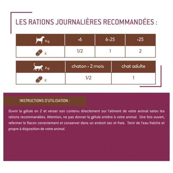 Régulateur intestinal en poudre pour chiens et chats – Image 3