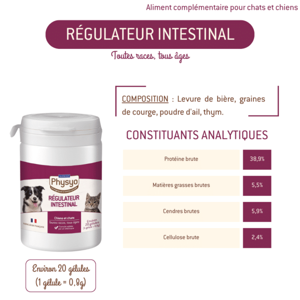 Régulateur intestinal en poudre pour chiens et chats – Image 2