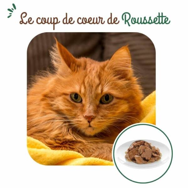 Sachets fraîcheur chat sénior à la volaille – Image 4