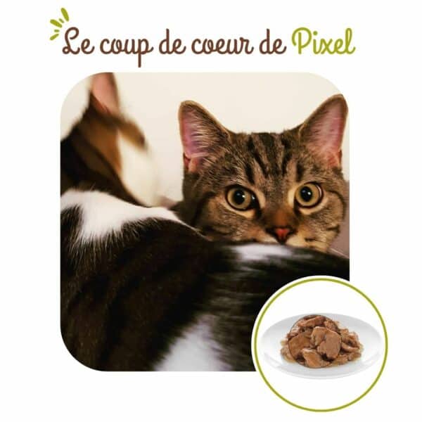 Sachets fraîcheur chat stérilisé au poisson – Image 3