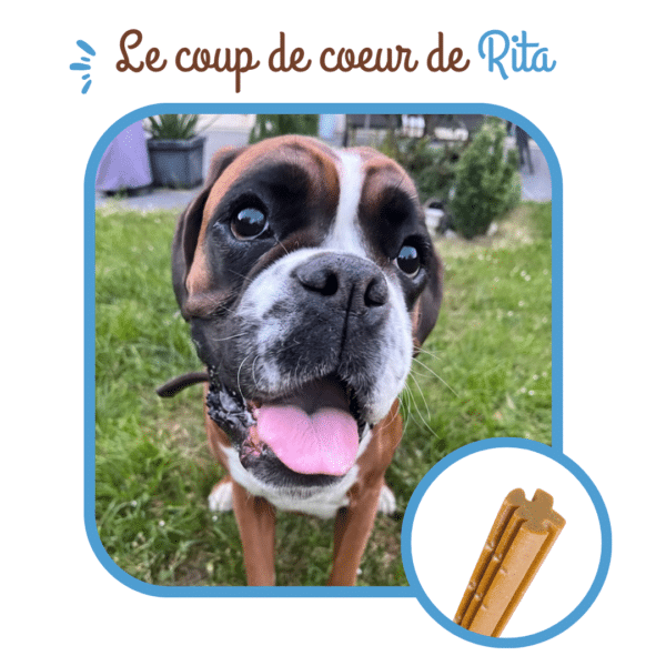 Sticks dentaires pour chiens – Image 4