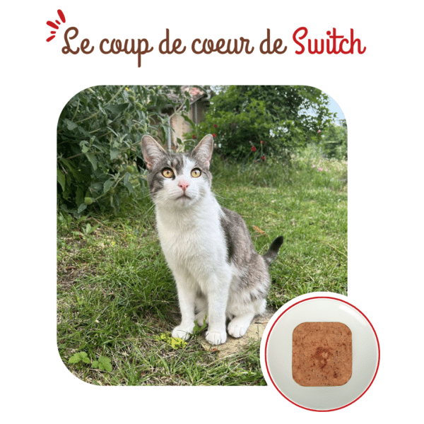 Terrine chat adulte à la truite – Image 4