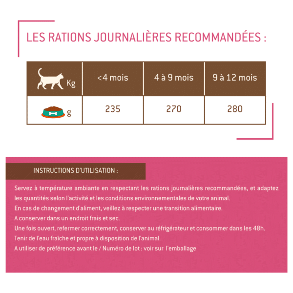 Terrine chaton au poulet – Image 3