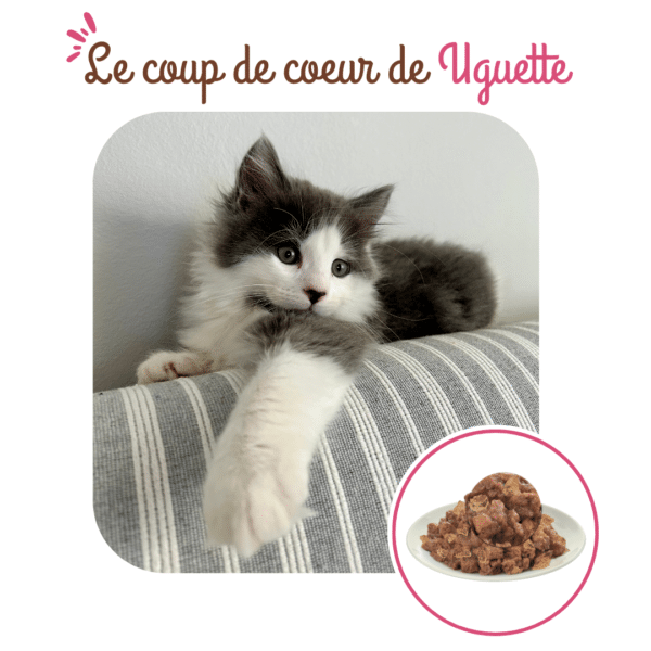 Tetra Pak chaton au poulet – Image 4