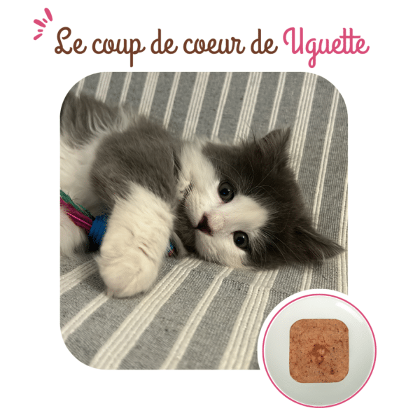 Terrine chaton au poulet – Image 4