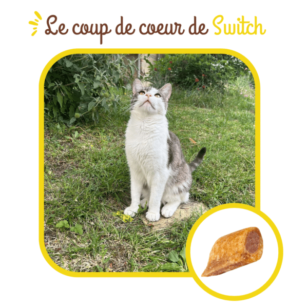 Croc' au fromage pour chats – Image 4