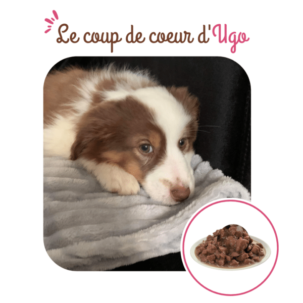 Tetra Pak chien croissance au bœuf – Image 4