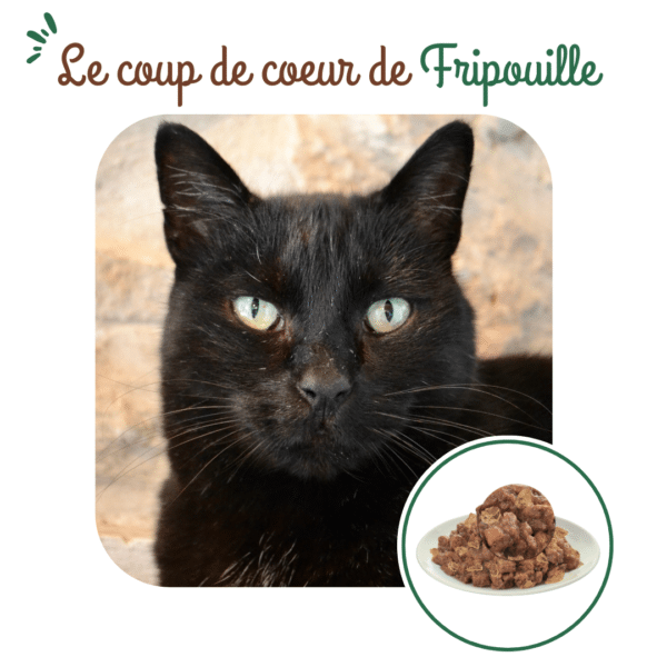 Tetra Pak chat sénior au bœuf – Image 4