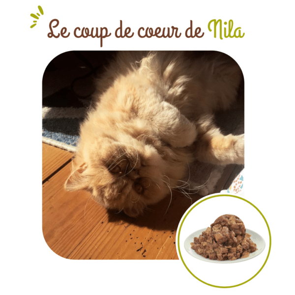 Tetra Pak chat stérilisé au poulet – Image 4
