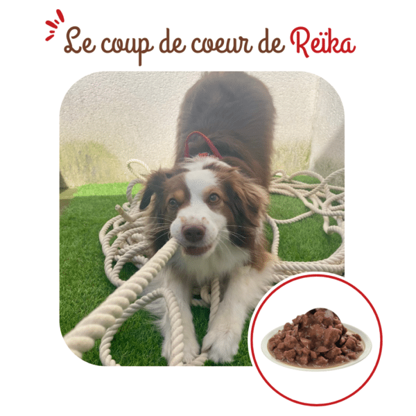 Tetra Pak chien vitalité au poulet – Image 4